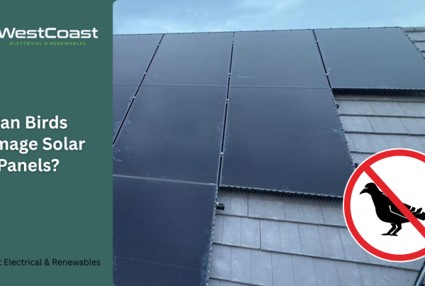 Can birds damage solar panels? Learn how nesting birds can affect your solar system, what signs to look for and how to protect your investment.